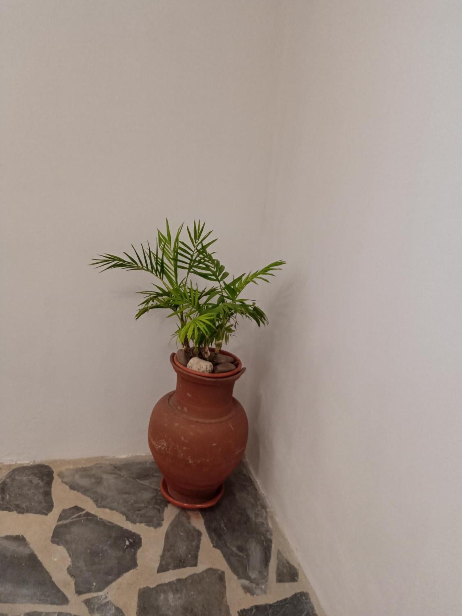 Quintinha dos Pombinhos Montoito Exterior foto