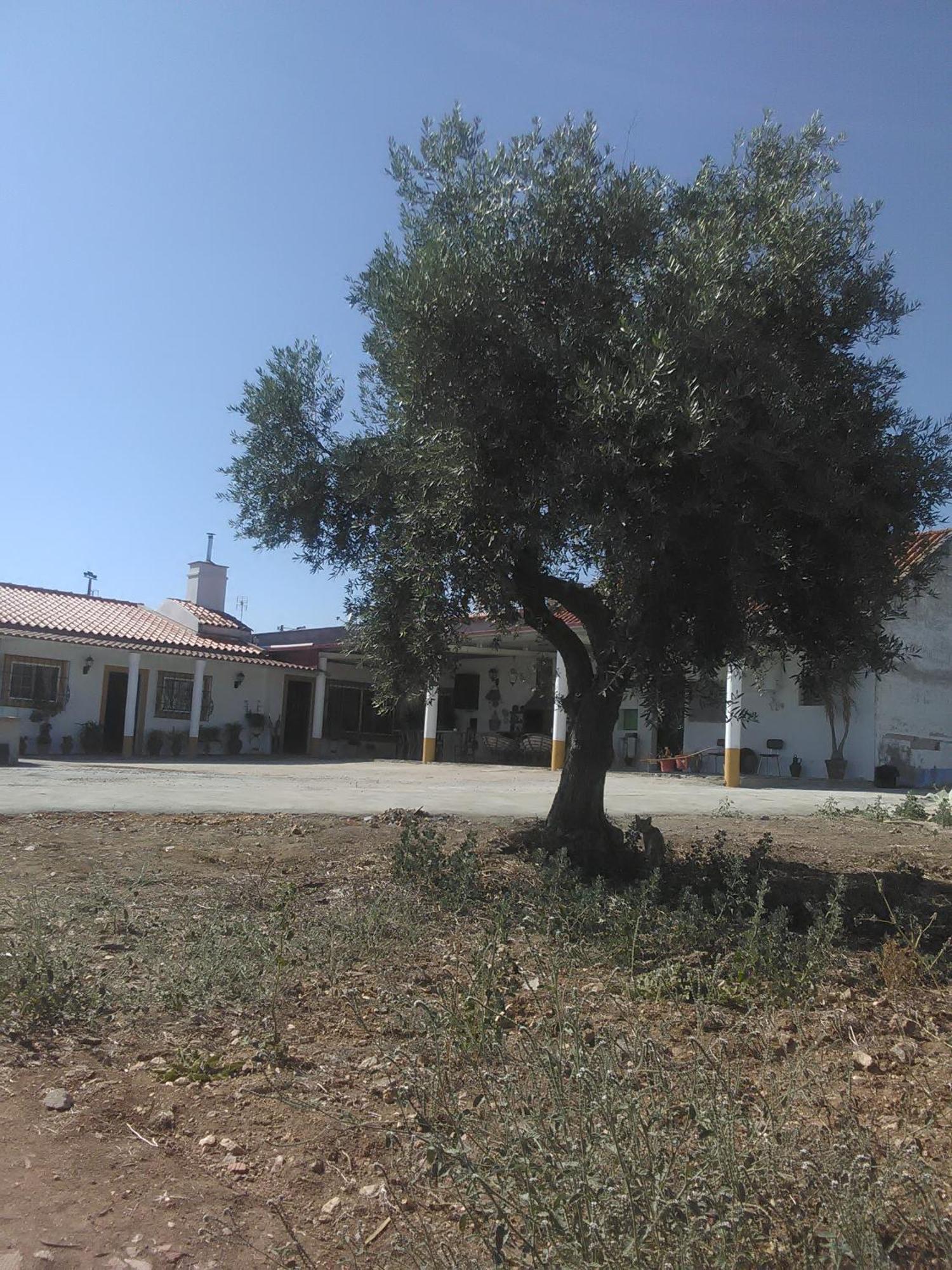 Quintinha dos Pombinhos Montoito Exterior foto
